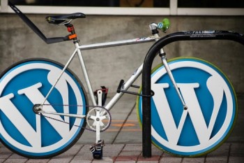 WordPress-b